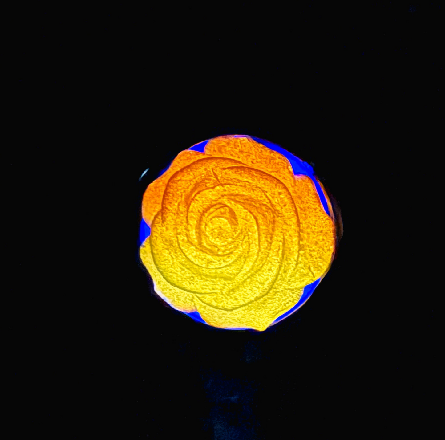 Sugar Bloom Glow Plug – A Sparkling Moonlit Garden