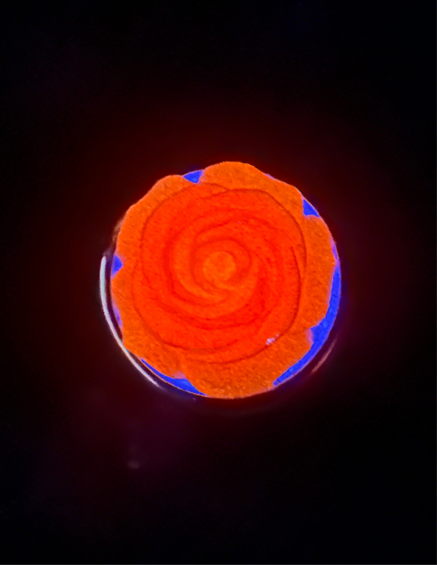 Sugar Bloom Glow Plug – A Sparkling Moonlit Garden